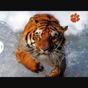 Meet your Posher, Angie